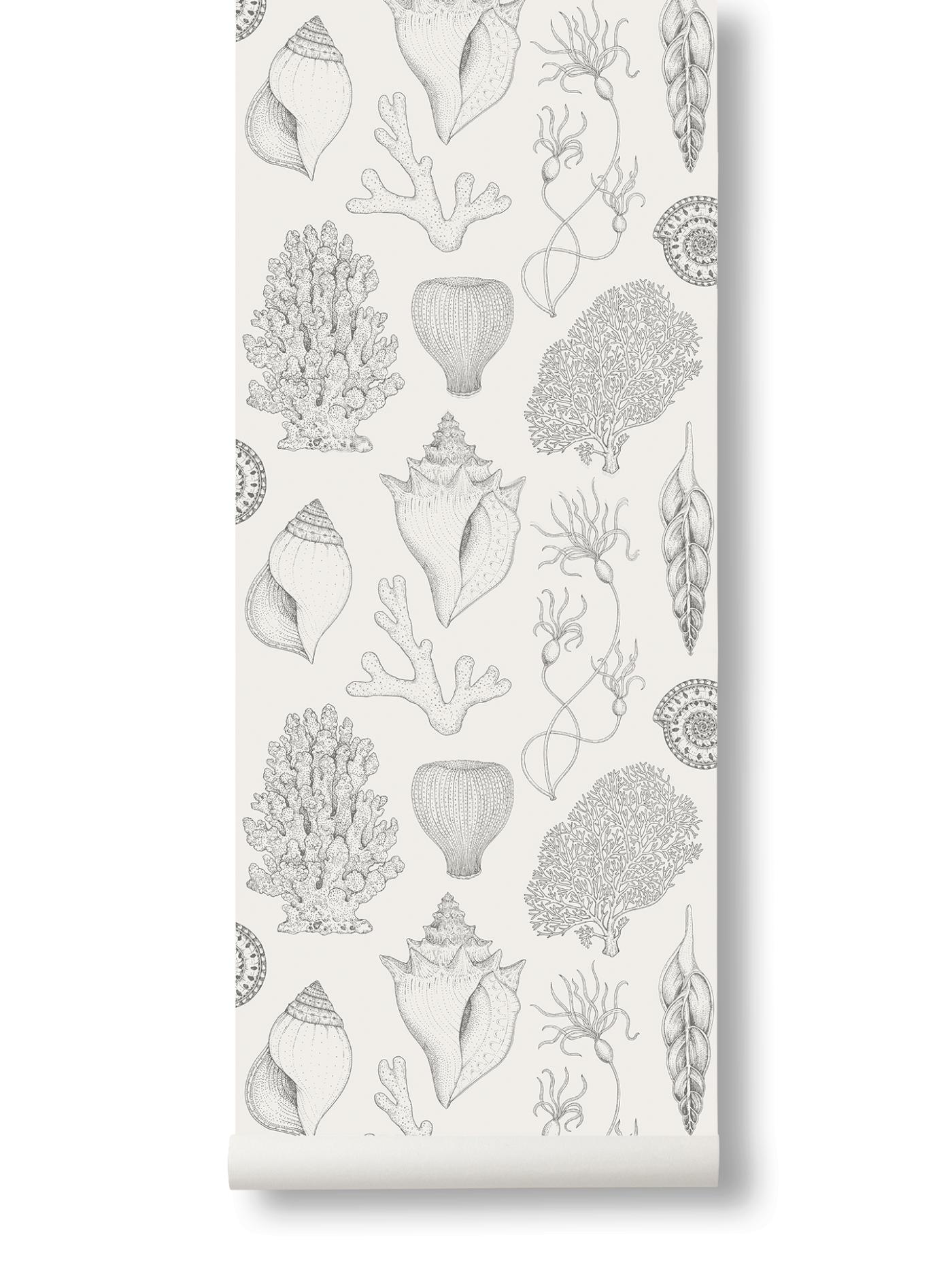 Katie Scott Wallpaper – Shells  – Off-White Accessories