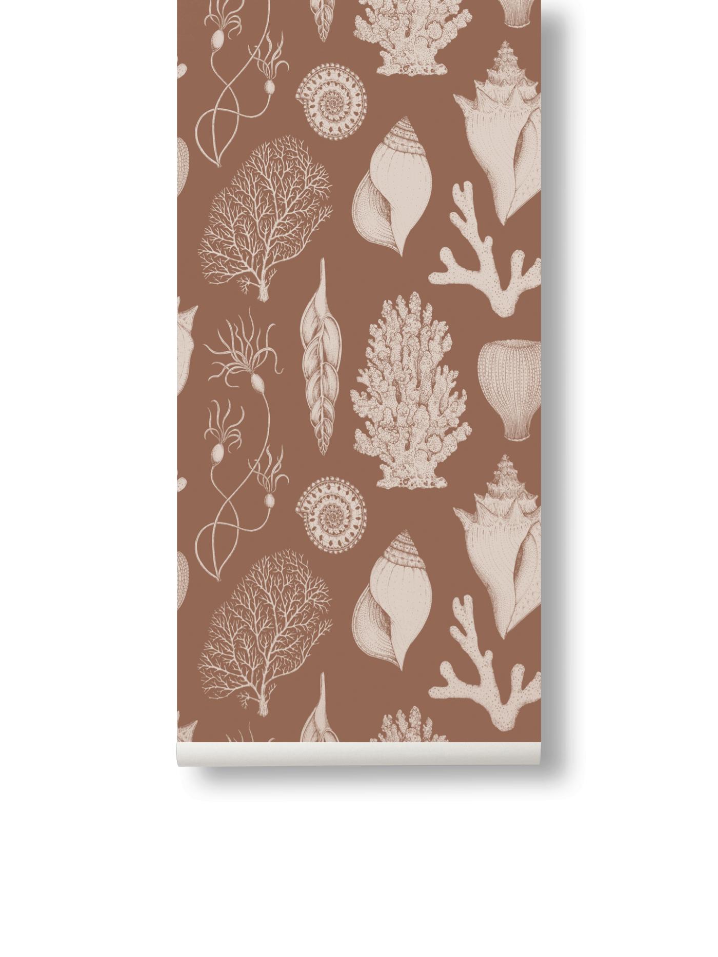 Katie Scott Wallpaper – Shells – Toffee Accessories